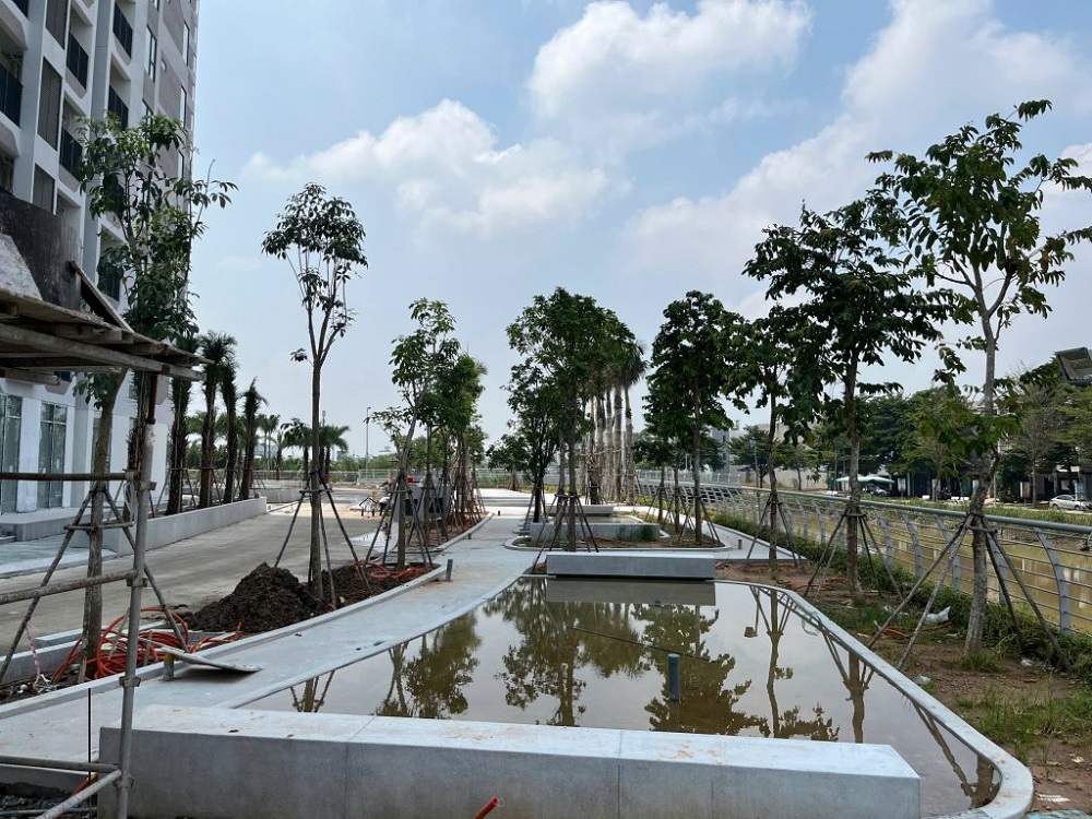 Đường nội khu với cây xanh bao phủ