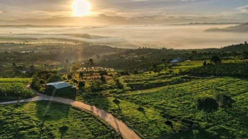cap nhat gia dat da lat nam 2025   cach de dau tu co loi hieu qua